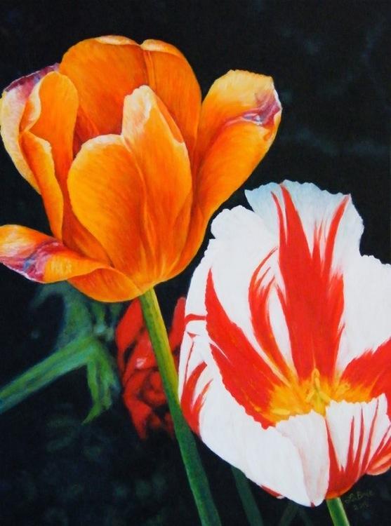 Tulips 12 x 9 inches, oil on board, 2015