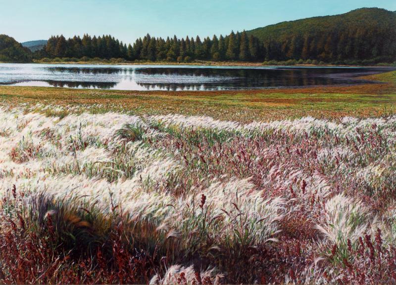 Indian Summer, Spooner Lake 36 x 50 inches,  oil on fabric, 2009