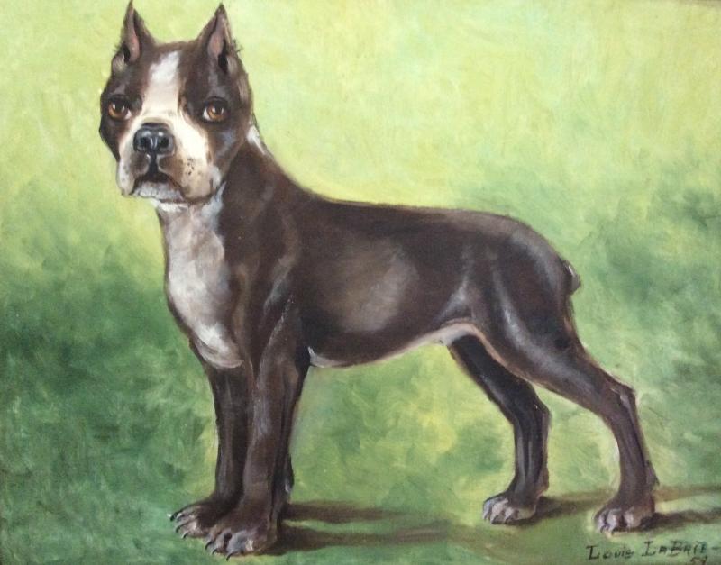 Goldie's Boston Terrieroil, 1959