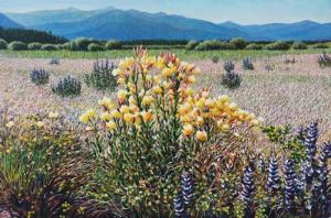 Tahoe Yellow Primrose 10 x 15 inches,  oil on board, 2016