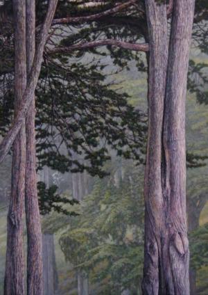 Trees in the Fog 21 x 15 inches, oil on board, 2014