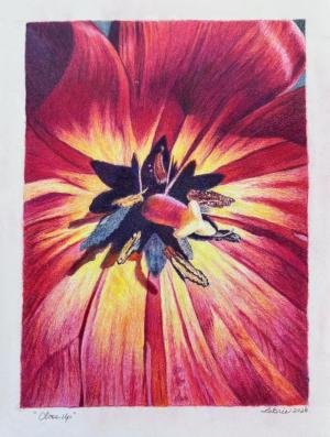 Closeupcolored pencil, 2025