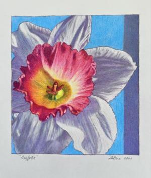 Daffodilcolored pencil, 2025