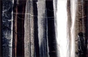 Vernal Falls 35 x 56 inches, acrylic, 1987 