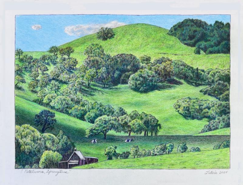 Petaluma Springtimecolored pencil, 2025