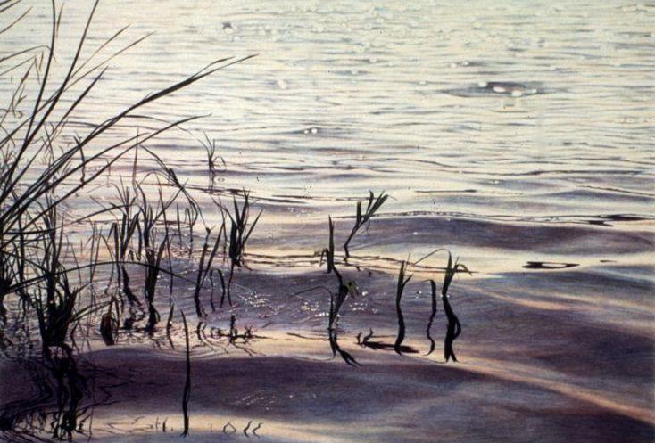 Spring Lake I 17 x 25 inches, lithograph, 1988